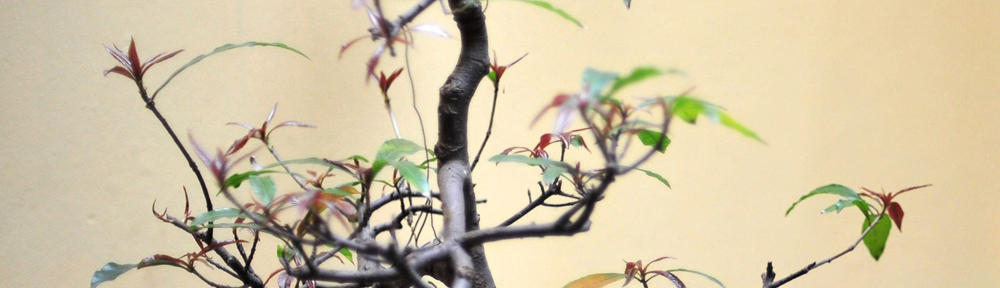 خرید vpn | خرید ساکس | فیلترشکن